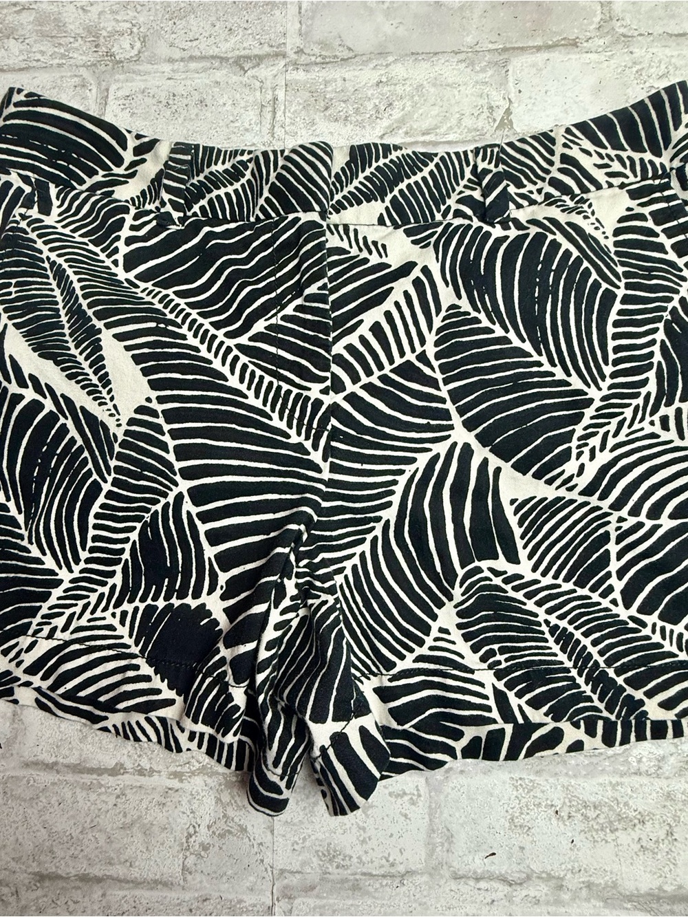 LOFT Shorts Zebra Print Black Ivory Pockets Lightweight Summer Women 6 EUC 😍